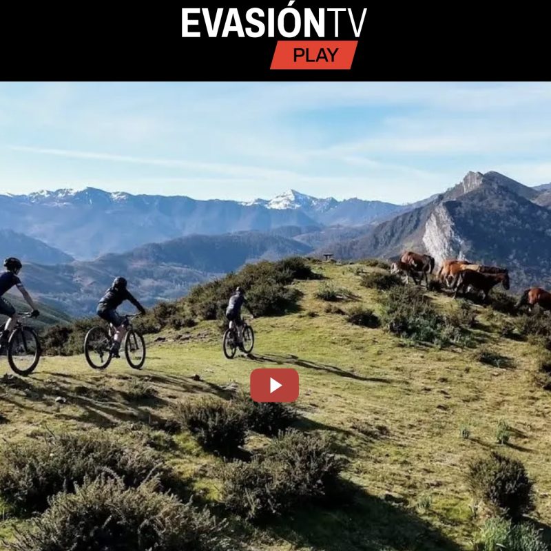 evasion tv
