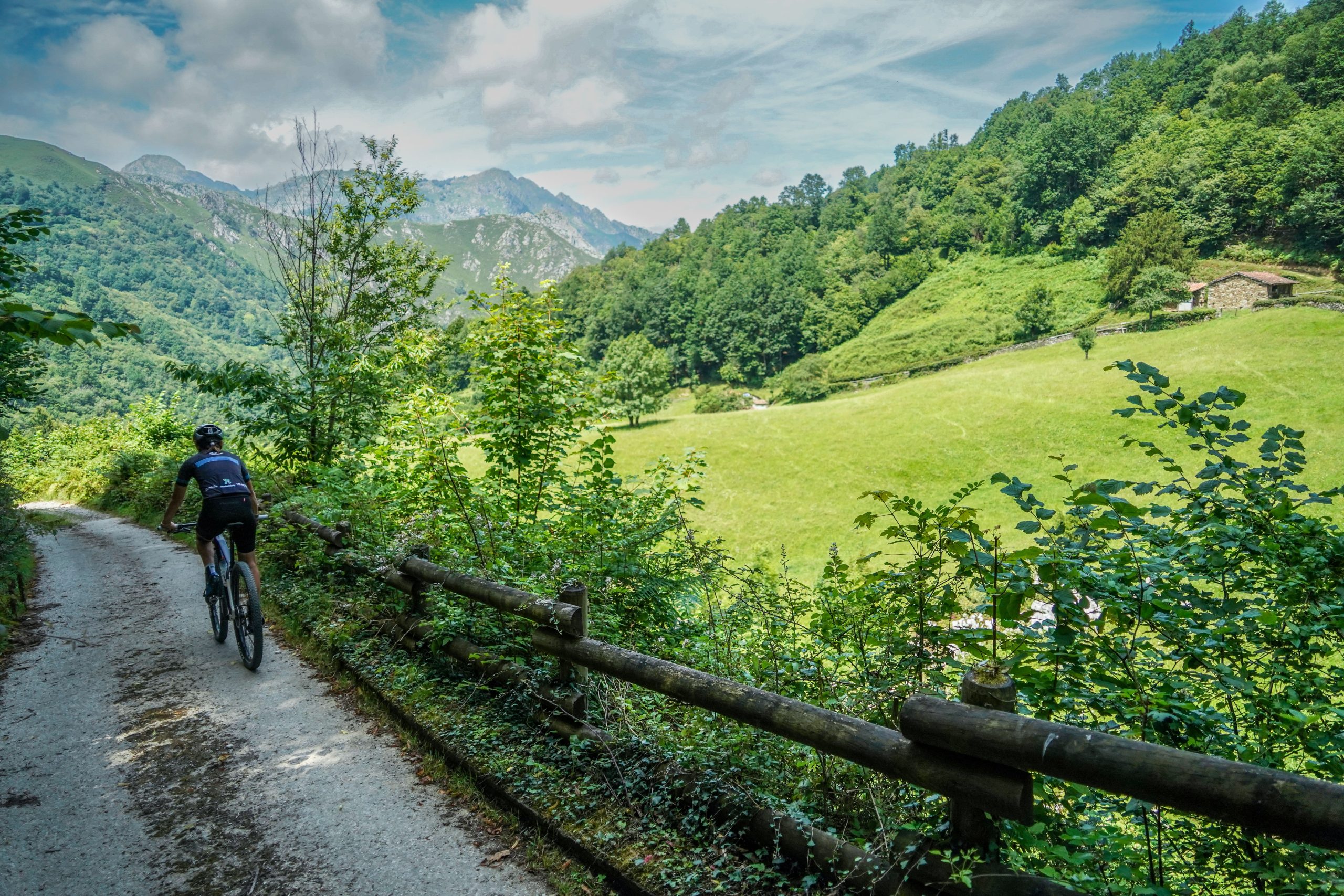 Por qué elegir Pedales del Carbon